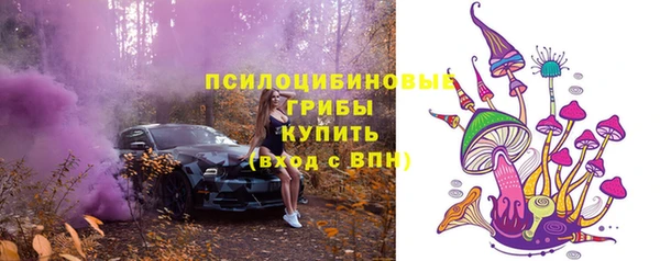 ECSTASY Карпинск